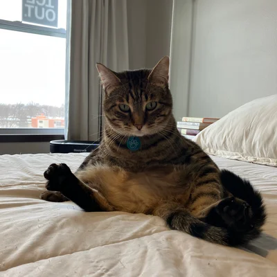 Xena